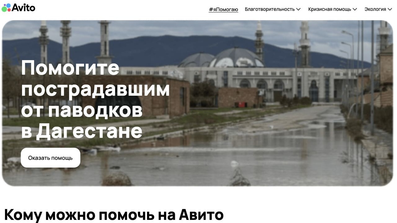 #яПомогаю — специализированный раздел на платформе Авито, объединяющий социальные и экологические инициативы