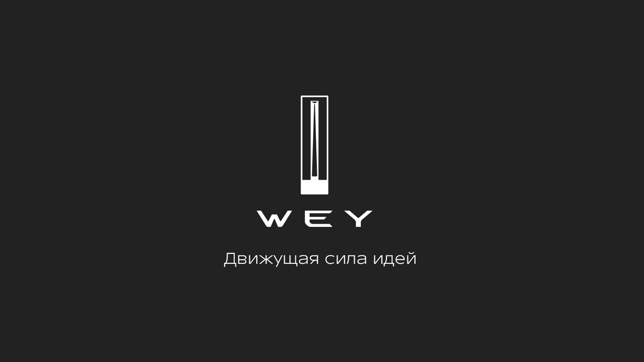 WEY имидж