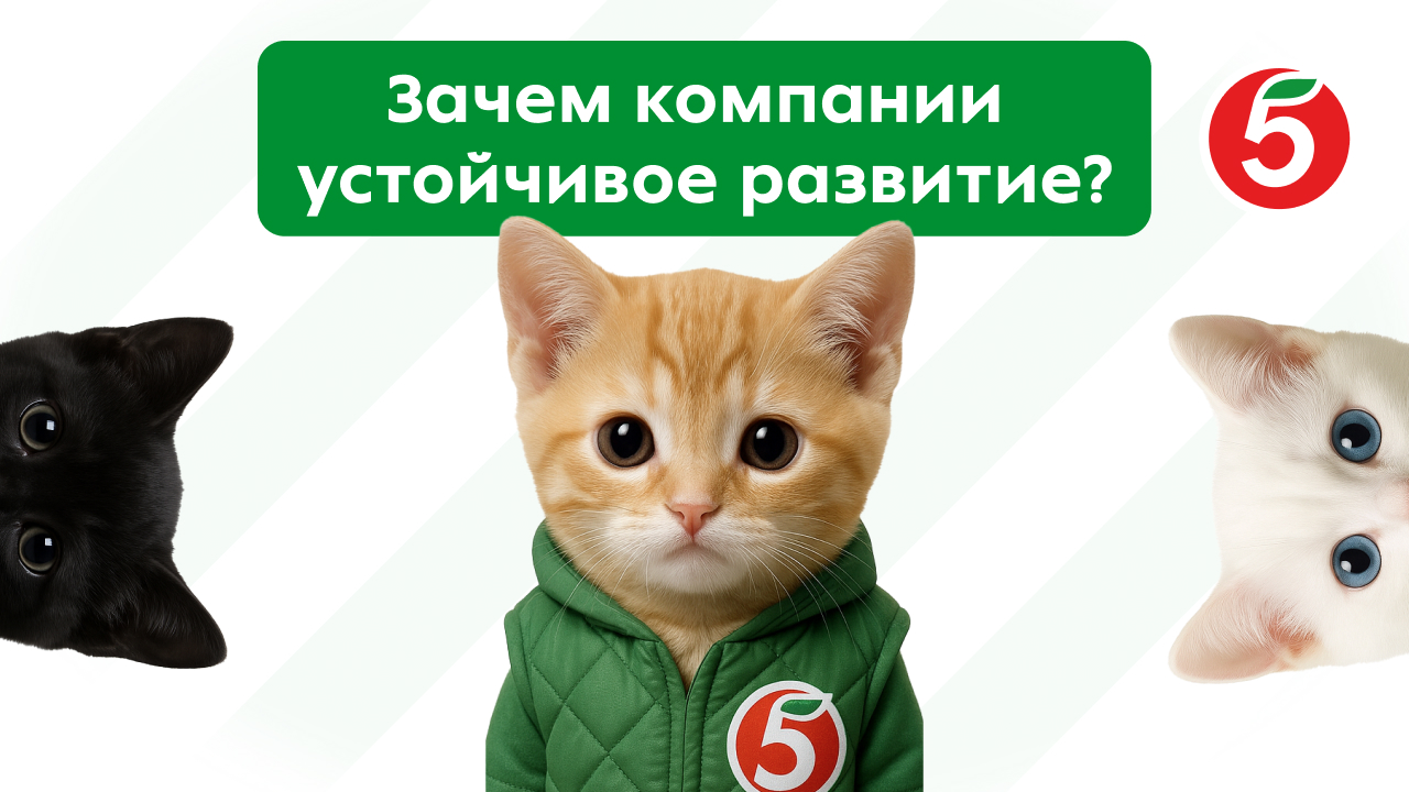 Увидеть, чтобы повторить: как VR помогает детям с РАС освоить магазин