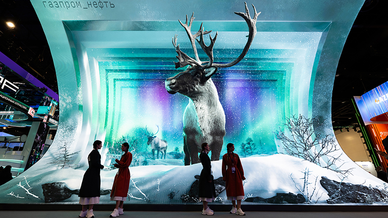 Открывая тундру