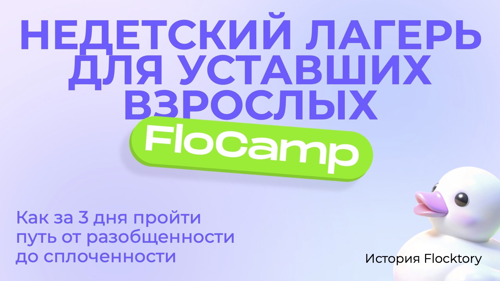 FloCamp – недетский лагерь для уставших взрослых