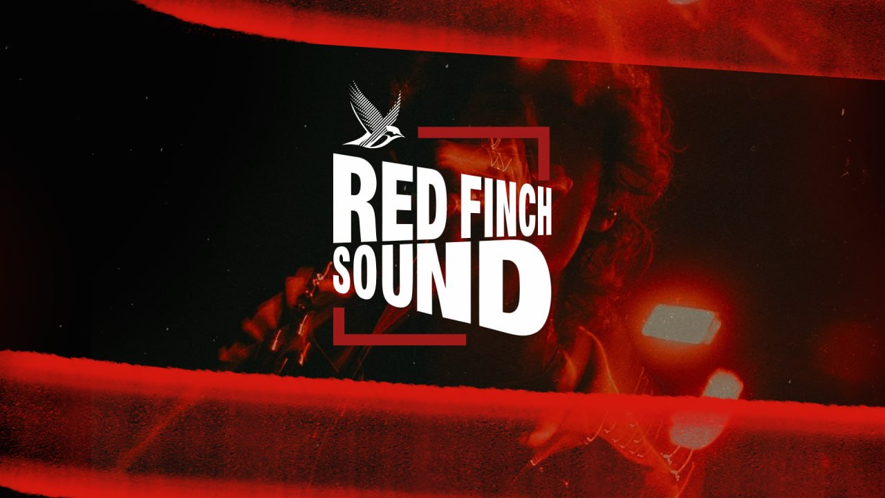 Red Finch Sound: Услышаны вместе
