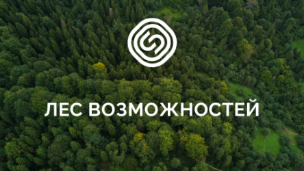 Разработка HR-стратегии для Segezha Group