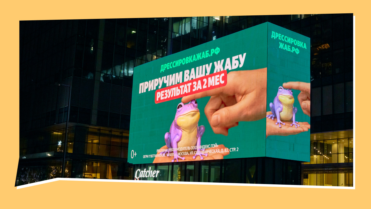 «Дрессировка жаб»: как за 3 дня создать интригу на 5 млн охвата