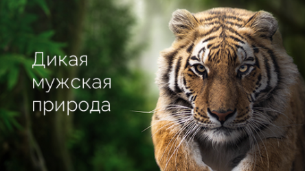 Дикая мужская природа