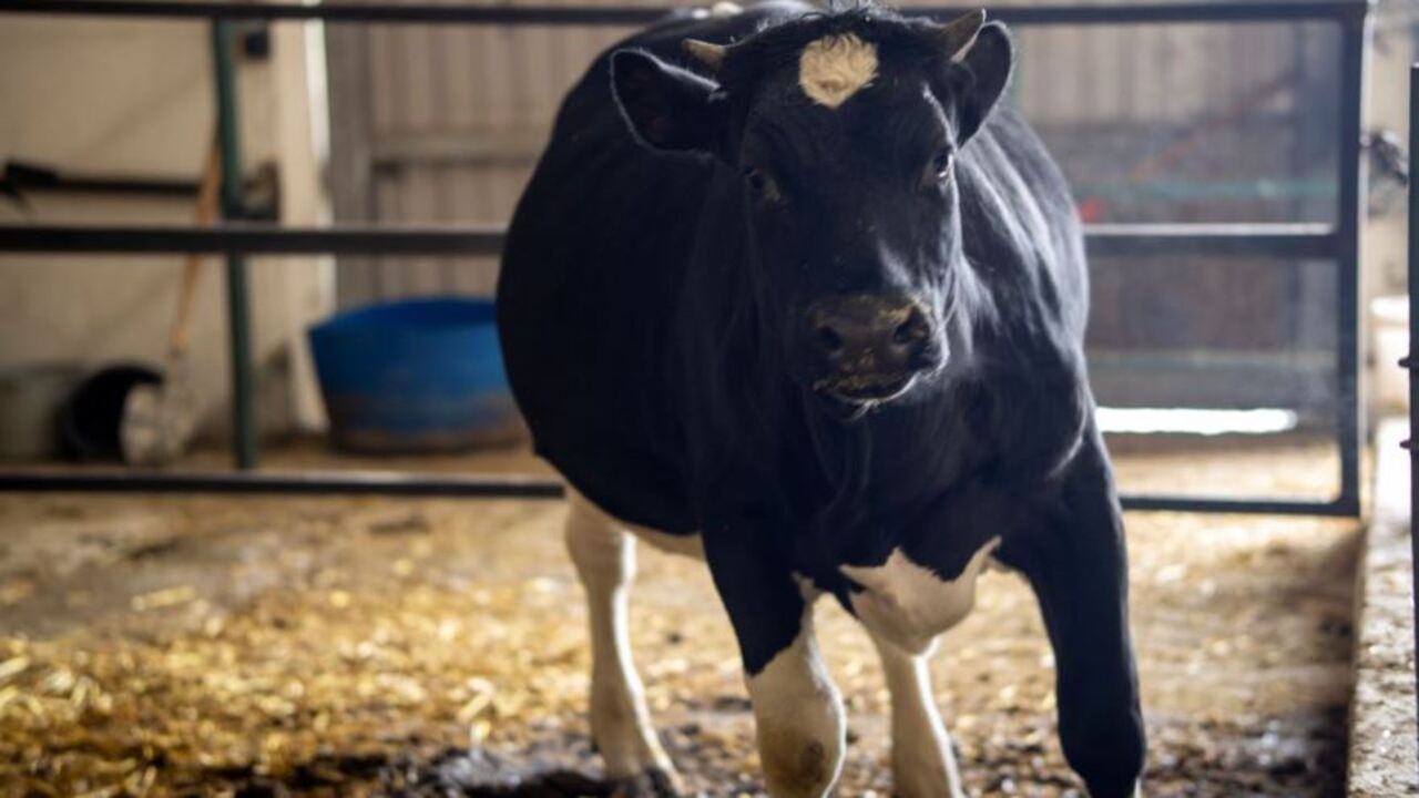 Задача со Звёздочкой