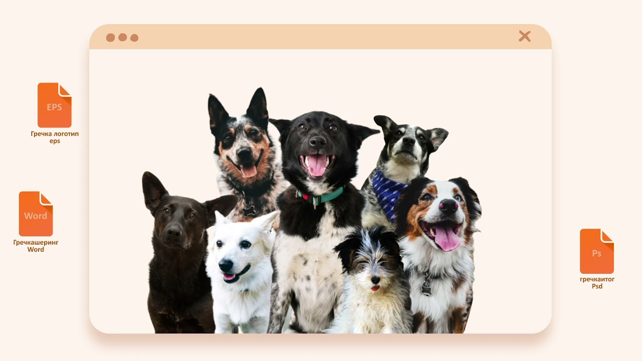 #гречкашеринг